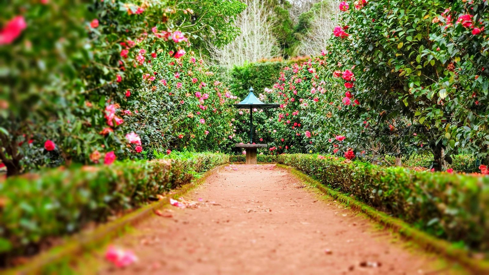 Landscaped Gardens at Vertex Autograph (representative image)